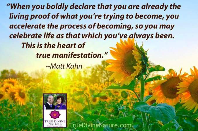 wp-1444495501788 image